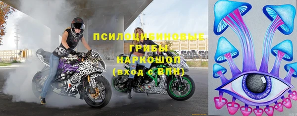 эйфоретик Алзамай