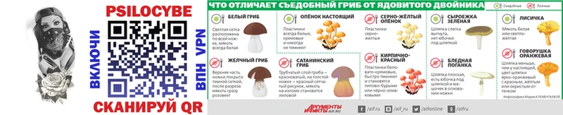 Псилоцибиновые грибы мицелий  Киселёвск 